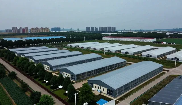 江苏巨星印业有限公司探索技术培训未来方向